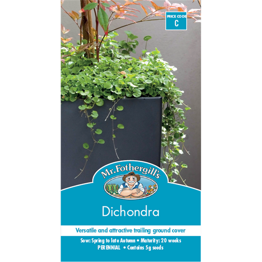 Mr Fothergill Dichondra Seeds 75mm Low Maintenance Ground Cover - Auzzistore