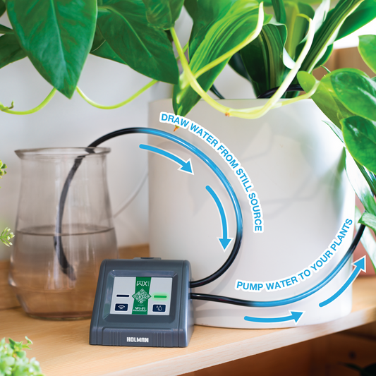 Holman Wi Fi Plantsitter Indoor Timer Kit - 10 Plant Watering System - 216mm x 100mm x 146mm – view 2 - Auzzistore