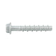 Ramset Ankascrew 6 x 100mm Galvanised Masonry Anchor 4 Pack