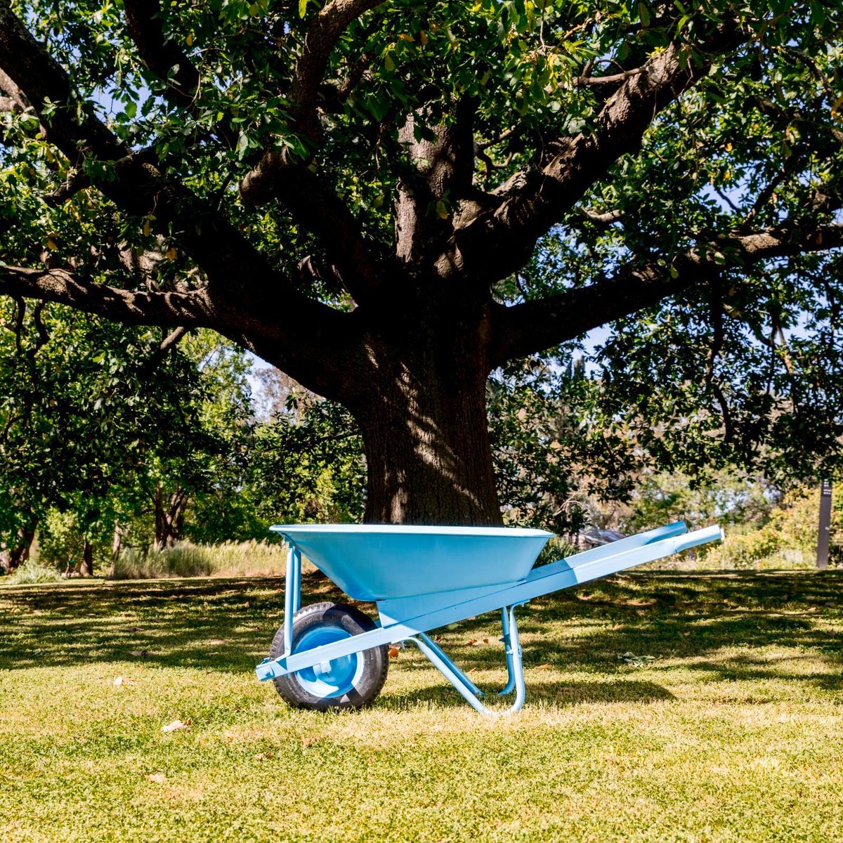 White Knight Rust Guard Cold Gal 0.25L Primer Paint Heavy Duty Protection