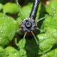 Holman Barbed Drip Irrigation PC Emitter 5 Pack 110mm Plastic Uniform Watering