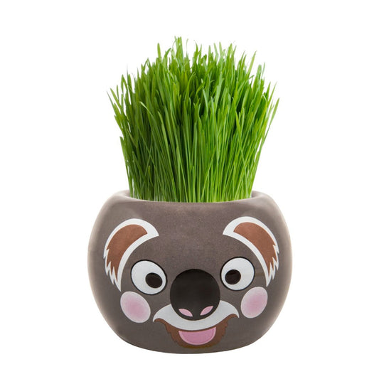 Mr Fothergill Grass Hair Koala 60mm Grow Kit Easy To Use – view 2 - Auzzistore
