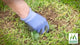 Munns Professional Quick Fix - 1.1kg - Lawn Seed Blend - Fast Germination