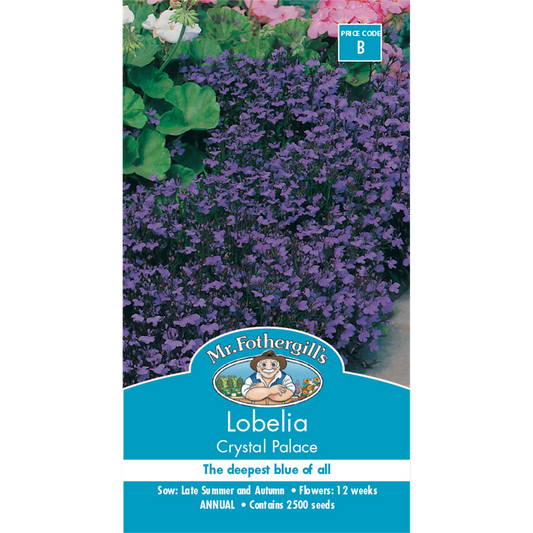 Mr Fothergill Lobelia Crystal Palace Flower Seeds - 15cm - Annual - Blue Flowers - Auzzistore