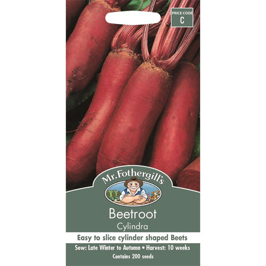 Mr Fothergill Cylindra Beetroot Seeds 12 Weeks Easy To Grow - Auzzistore