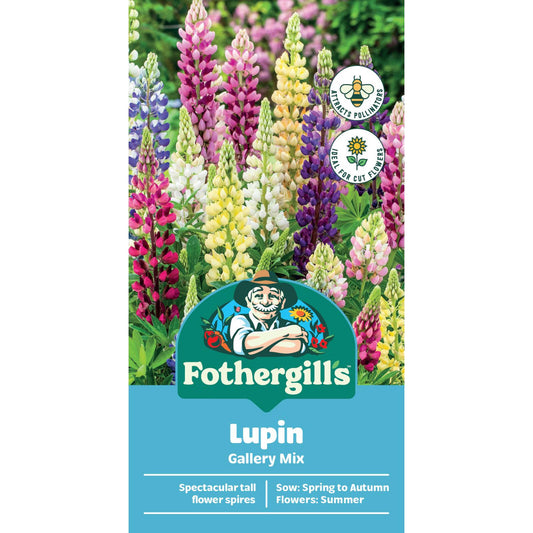 Mr Fothergill Lupin Gallery Mix Seeds 120cm Mixed Attracts Insects