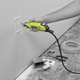 Ryobi Essential Rotary Tool RRT090 - 30 Accessories - 150W - 240V - Versatile DIY