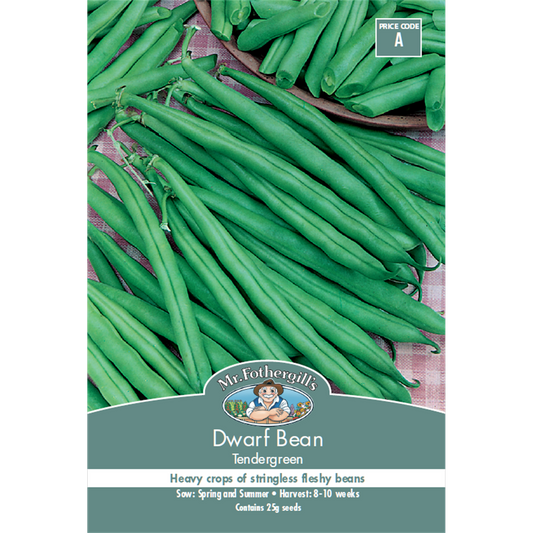 Mr Fothergill's Tendergreen Dwarf Bean Seeds - 10 Weeks - Green - Reliable Cropper - Auzzistore