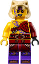LEGO 70755 Jungle Raider: Lloyd vs. Kapau – view 5