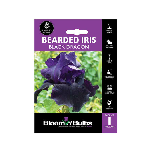 Bloomin Bulbs Bearded Iris - 1 Pack - Perennial - Dark Purple-Black - Auzzistore