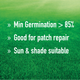 Munns Professional Quick Fix - 1.1kg - Lawn Seed Blend - Fast Germination