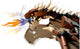 LEGO Harry Potter 76406 Hungarian Horntail Dragon- Auzzi Store