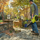 Ryobi 36V Jet Blower R36BLW50 - 550CFM - Tool Only - Efficient Debris Clearance