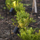 Elluminate Bluetooth Spotlight Garden Kit 4 Pack - 5mm x 10mm x 6mm - Black