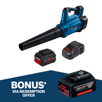 Leaf Blowers & Vacuums