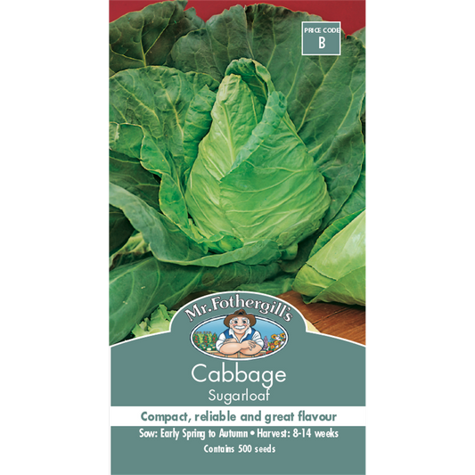 Mr Fothergill Sugarloaf Cabbage Seeds 75mm Green Sweet Flavor - Auzzistore