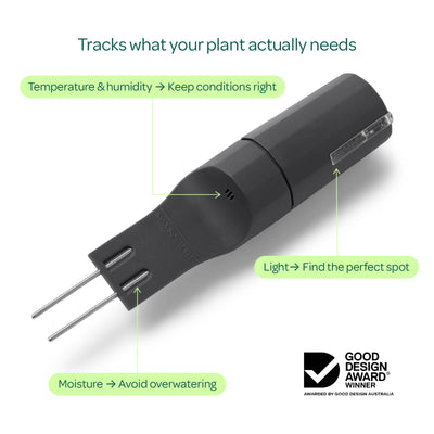 Willow Smart Indoor Plant Sensor - Charcoal - Monitors Soil Moisture, Light, Temperature, Humidity - Bluetooth Connectivity