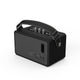 Guitar Amp Style 2.0 Active Bluetooth Speaker (Black)