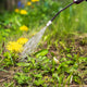 Searles Wetting Agent - 200ml - Liquid Concentrate - Herbicide Additive