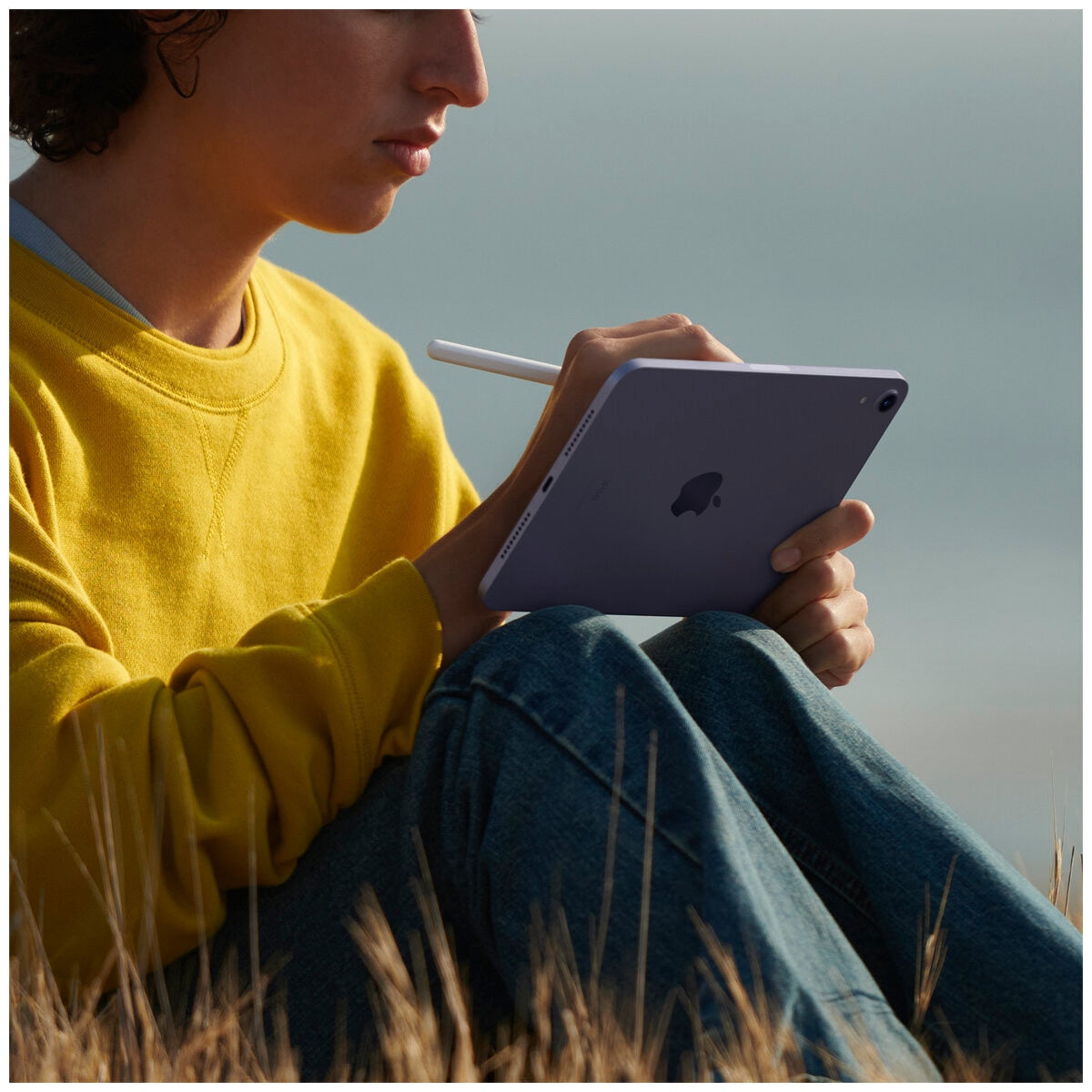 iPad mini Wi-Fi 256GB (6th Gen) Space Grey