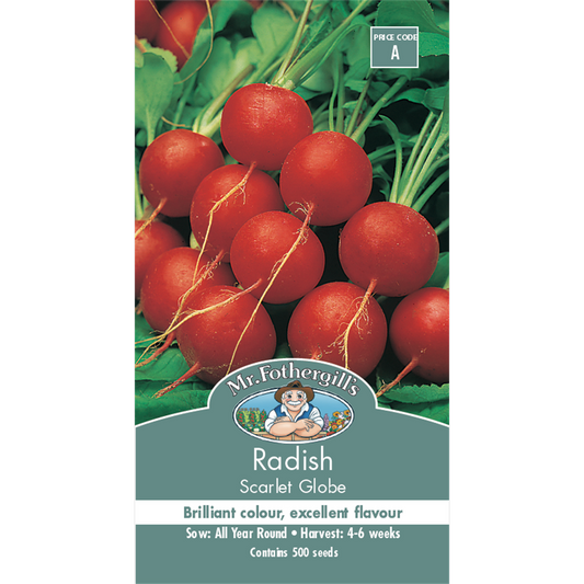 Mr Fothergill S Scarlet Globe Radish Seeds - 75mm - Red - Crisp Flavor - Auzzistore