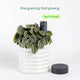 Willow Smart Indoor Plant Sensor Starter Pack - 1 Sensor & Hub - Charcoal - Monitors Soil Moisture, Light, Temperature & Humidity