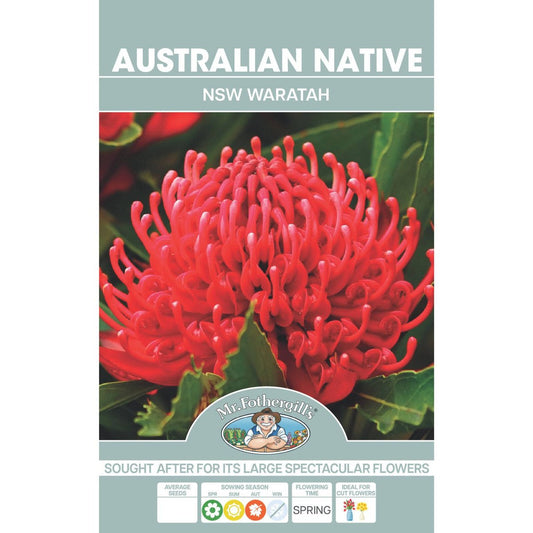 Mr Fothergill Wildflower Seeds - 10 Pack - Seed - Attracts Wildlife - Auzzistore