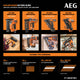 AEG 18V F-RAPID Framing Nailer Kit - 10GA 30°-34° - 5Ah Battery - 3 Nails/Second
