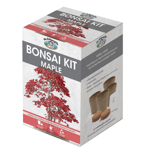 Mr Fothergill Maple Bonsai Kit - Complete Starter Kit - 4 Pots - 90mm x 130mm - Auzzistore