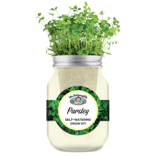 Mr Fothergill's Self Watering Mason Jar Grow Kit - Parsley - 90mm x 172mm - Yellow - Year-Round Cultivation – view 2 - Auzzistore