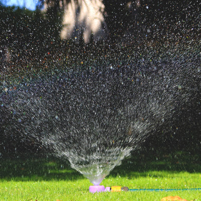 Holman 12mm Purple Dome Hose Sprinkler - Metal - Durable - 6m Range