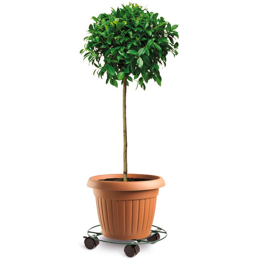 Eden Pot Plant Trolley - 35cm - Metal - Heavy Duty with Brake – view 2