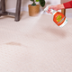 Krud Kutter Instant Carpet Stain Remover Plus Deodoriser 946ml - Pet Stains, No Residue