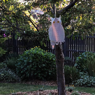 Jack Pest Control Outdoor Owl Reflector - 200mm Silver - Non-Harmful Deterrent