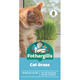 Mr Fothergill Cat Grass Seeds - Quick Grow - 75mm - Aids Digestion