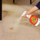 Krud Kutter Instant Carpet Stain Remover Plus Deodoriser 946ml - Pet Stains, No Residue