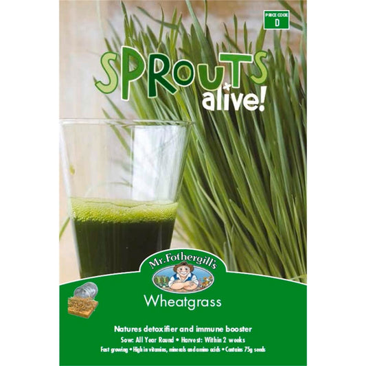 Mr Fothergill Wheatgrass Seeds 75mm Superfood Detoxifier Immune Booster - Auzzistore