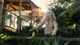 Ryobi 18V ONE+ Hedge Grass Shears R18HTR130 - 200mm Blade - Tool Only