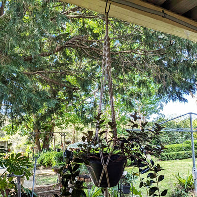 Jack Hanging Basket Hook - 600mm - Black - Durable Wire Construction
