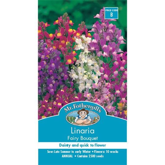 Mr Fothergill Linaria Flower Seeds - 20cm - Hardy Annual - Colourful Blooms - Auzzistore