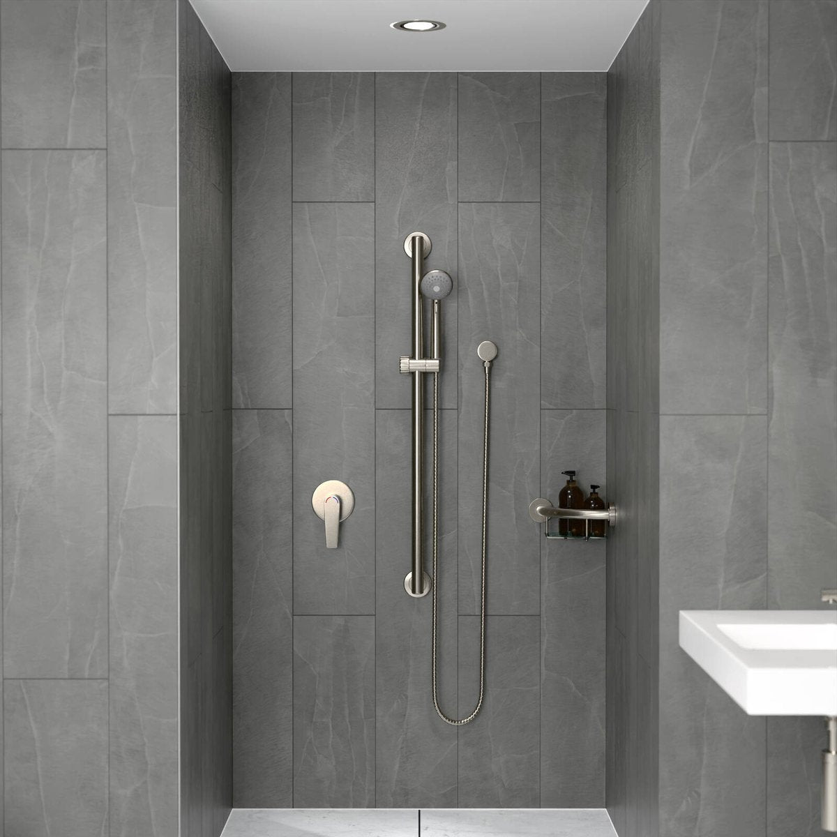 Evekare 32 x 900mm Grab Rail & 3 Function Shower - Brushed Nickel - Safety & Accessibility