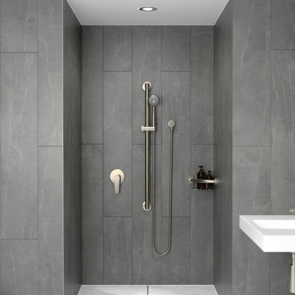 Evekare 32 x 900mm Grab Rail & 3 Function Shower - Brushed Nickel - Safety & Accessibility