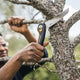 Fiskars Plus Folding Pruning Saw 150mm - Ergonomic Handle - Fast Cutting