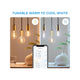Wiz A60 B22 LED Filament Globe 7W 640lm Tunable White - Smart Dimming