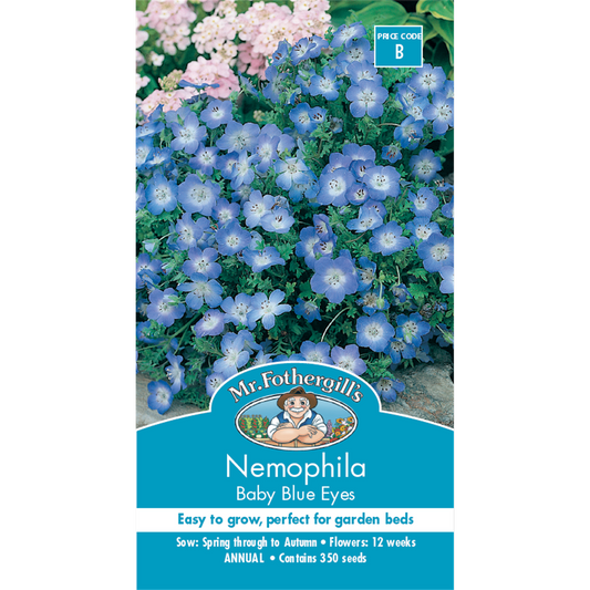 Mr Fothergill Nemophila Baby Blue Eyes Seeds 75mm Easy Grow Annual - Auzzistore