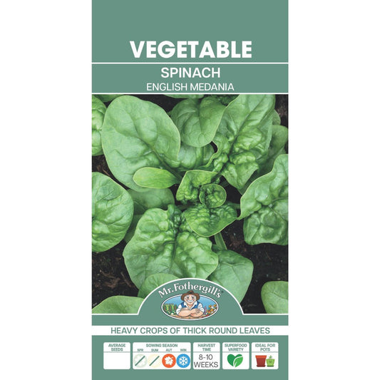 Mr Fothergill Spinach Seeds - Approx. 250 Seeds - Good Mildew Resistance - Auzzistore