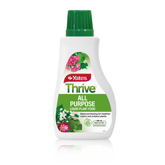Yates Thrive Liquid Plant Food 500ml All Purpose Fast Growth - Auzzistore