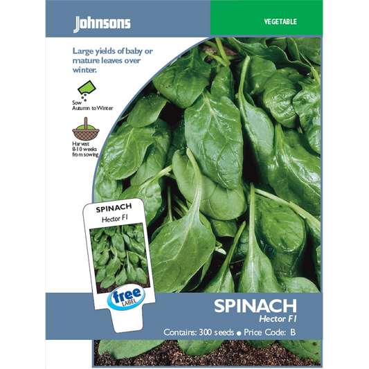 Johnsons Spinach Seeds - 10 Weeks - Seeds - Baby Leaf Production - Auzzistore