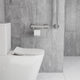 Evekare Toilet Roll Holder Grab Rail - 300mm - Stainless Steel - Supports 250kg