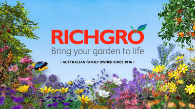 Richgro 2.5kg Lawn Beetle And Grub Killa